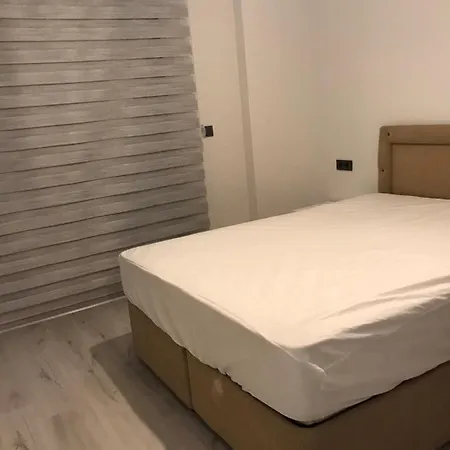 Kolayli Plus 1 *